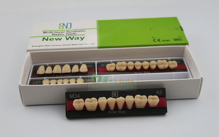 R101 Three Layer Acrylic Resin Teeth